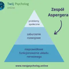 Jak rozpoznać aspergera u dorosłego - objawy, które musisz znać